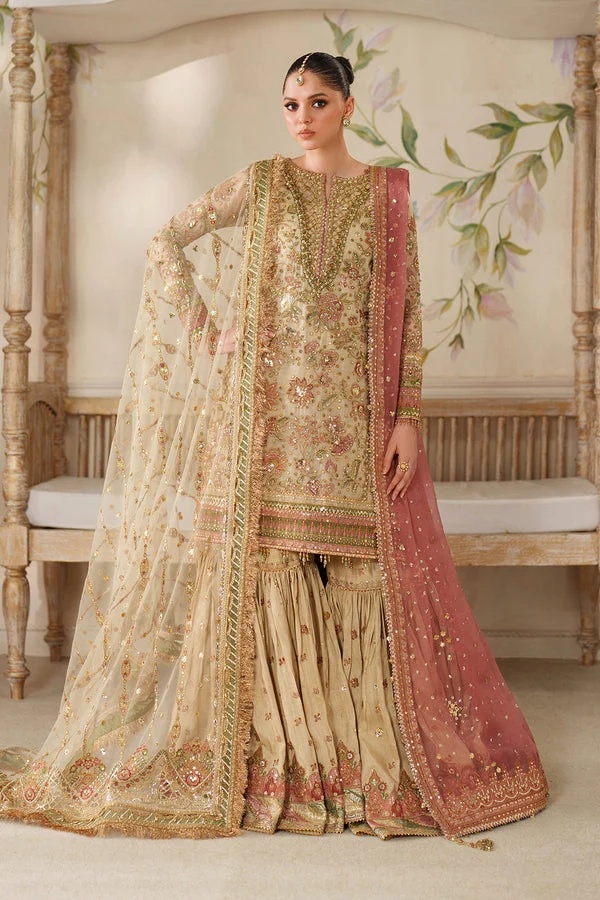 EMBROIDERED NET BAROUQE pakistani fashion outfit with coordinated…